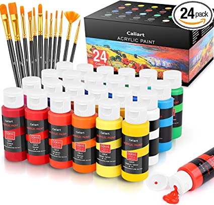 Acrylic Paint Set With 12 Brushes, 24 Colors Art Craft Paints for Professional Artists