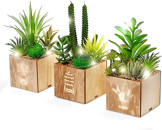 Set of 3 Artificial Succulents with Led Lights in Wooden Box