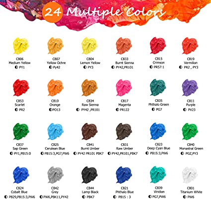 Acrylic Paint Set with 12 Brushes, 24 Colors (59Ml, 2Oz) Art Craft